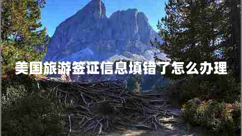 美國旅游簽證信息填錯了怎么辦理