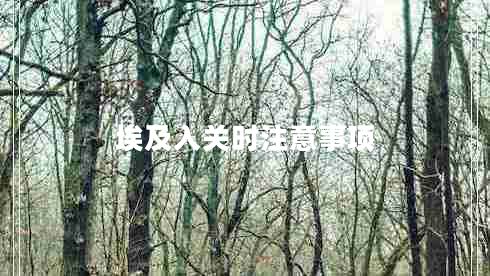 埃及入關(guān)時注意事項