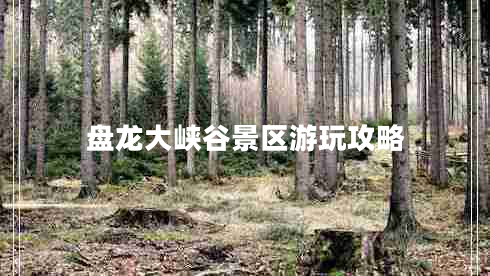 盤龍大峽谷景區(qū)游玩攻略