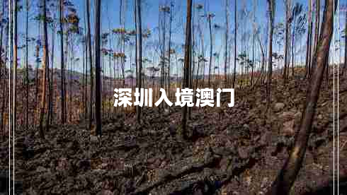 深圳入境澳門