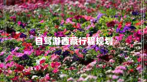 自駕游西藏行程規(guī)劃