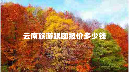 云南旅游跟團報價多少錢