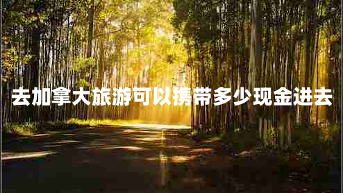 去加拿大旅游可以攜帶多少現(xiàn)金進(jìn)去