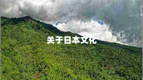 關(guān)于日本文化