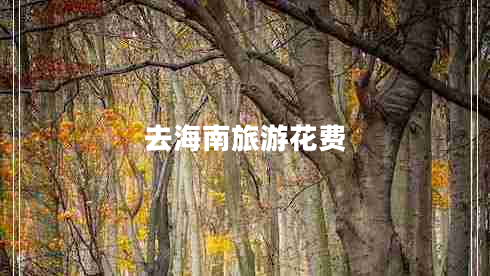 去海南旅游花費(fèi)
