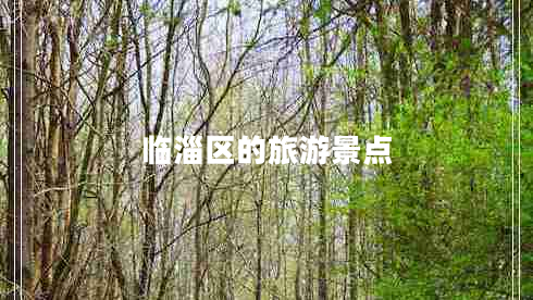 臨淄區(qū)的旅游景點(diǎn)
