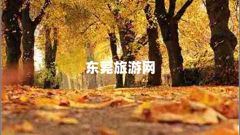 東莞旅游網(wǎng)