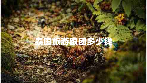 泰國(guó)旅游跟團(tuán)多少錢(qián)