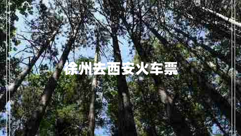 徐州去西安火車票