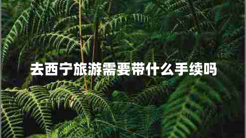 去西寧旅游需要帶什么手續(xù)嗎