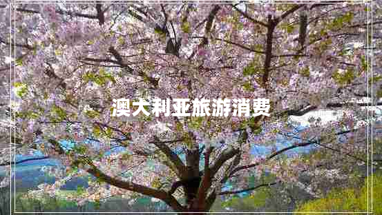 澳大利亞旅游消費