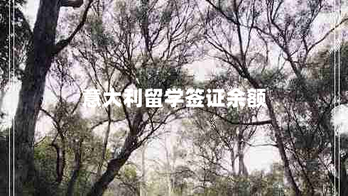 意大利留學(xué)簽證余額 意大利留學(xué)簽證余額