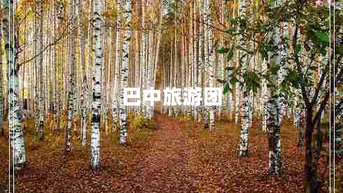 巴中旅游團(tuán)