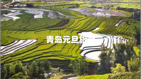 青島元旦旅游 青島元旦旅游