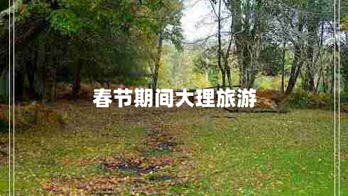 春節(jié)期間大理旅游 春節(jié)期間大理旅游