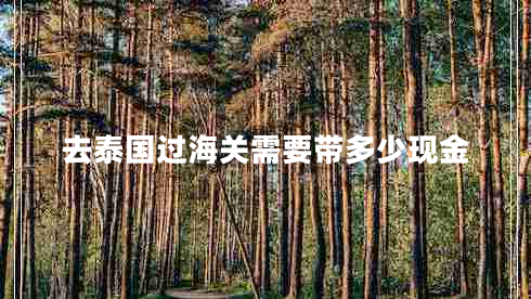 去泰國過海關(guān)需要帶多少現(xiàn)金