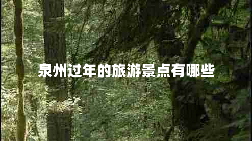 泉州過(guò)年的旅游景點(diǎn)有哪些