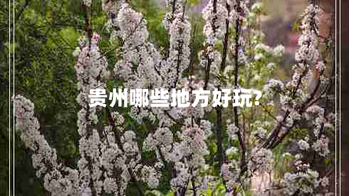 貴州哪些地方好玩?