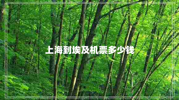 上海到埃及機票多少錢