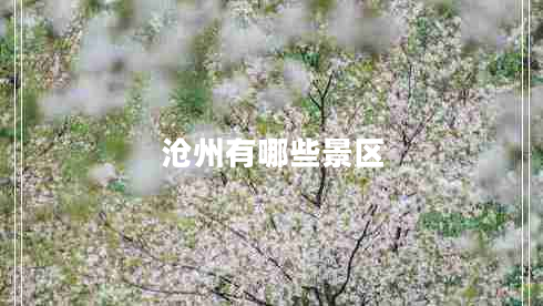 滄州有哪些景區(qū)