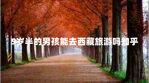 5歲半的男孩能去西藏旅游嗎知乎