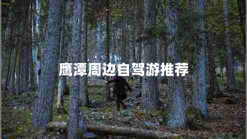 鷹潭周邊自駕游推薦