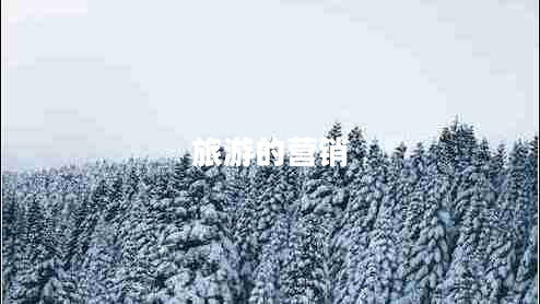 旅游的營(yíng)銷