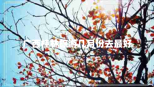 廣西桂林旅游幾月份去最好