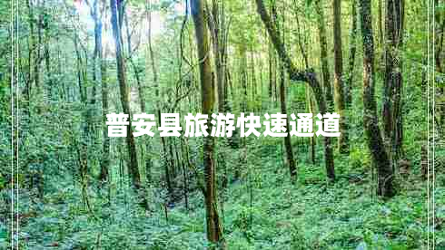 普安縣旅游快速通道