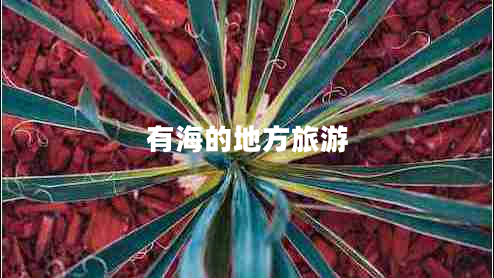 有海的地方旅游 有海的地方旅游