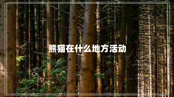 熊貓?jiān)谑裁吹胤交顒?dòng)