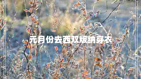 元月份去西雙版納穿衣 元月份去西雙版納穿衣