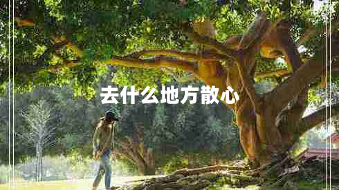 去什么地方散心 去什么地方散心