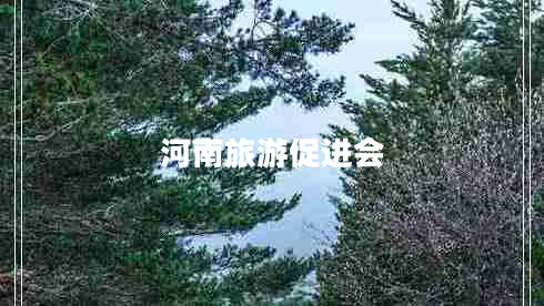 河南旅游促進(jìn)會(huì) 河南旅游促進(jìn)會(huì)