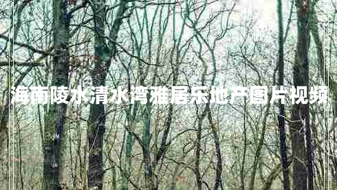 海南陵水清水灣雅居樂(lè)地產(chǎn)圖片視頻