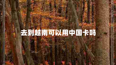 去到越南可以用中國卡嗎