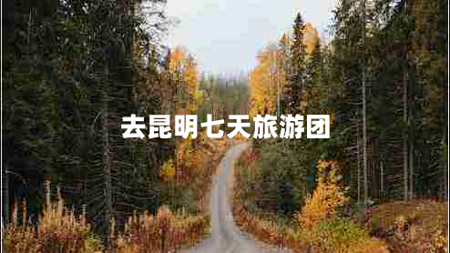 去昆明七天旅游團(tuán)