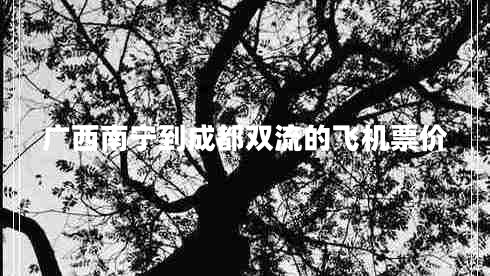 廣西南寧到成都雙流的飛機(jī)票價(jià)