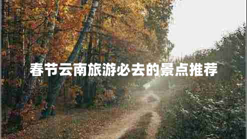 春節(jié)云南旅游必去的景點(diǎn)推薦
