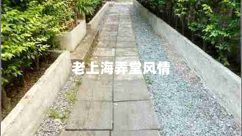 老上海弄堂風情