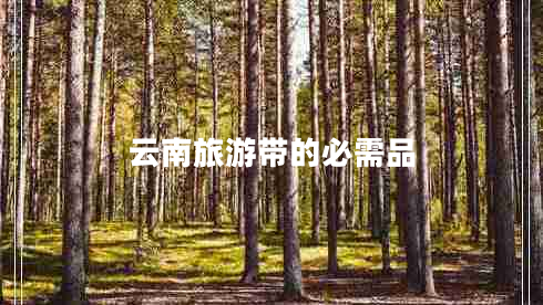 云南旅游帶的必需品
