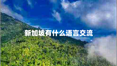 新加坡有什么語(yǔ)言交流