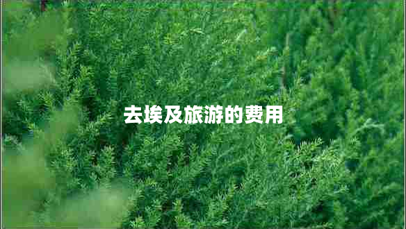 去埃及旅游的費(fèi)用