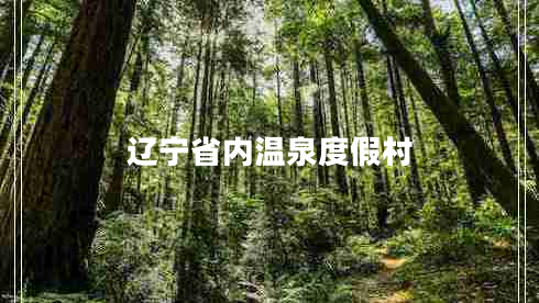 遼寧省內(nèi)溫泉度假村