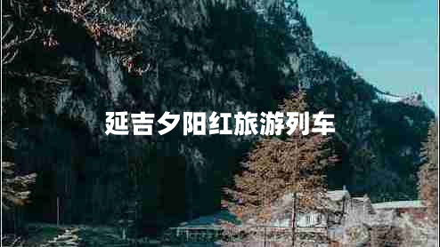 延吉夕陽紅旅游列車