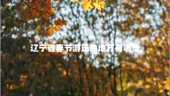 遼寧省春節(jié)游玩的地方有哪些