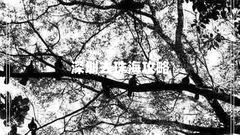 深圳去珠海攻略 深圳去珠海攻略