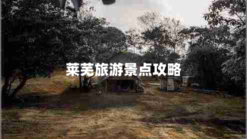 萊蕪旅游景點(diǎn)攻略