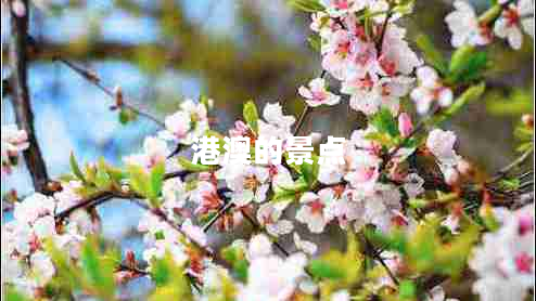 港澳的景點(diǎn)