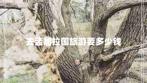 去孟加拉國旅游要多少錢